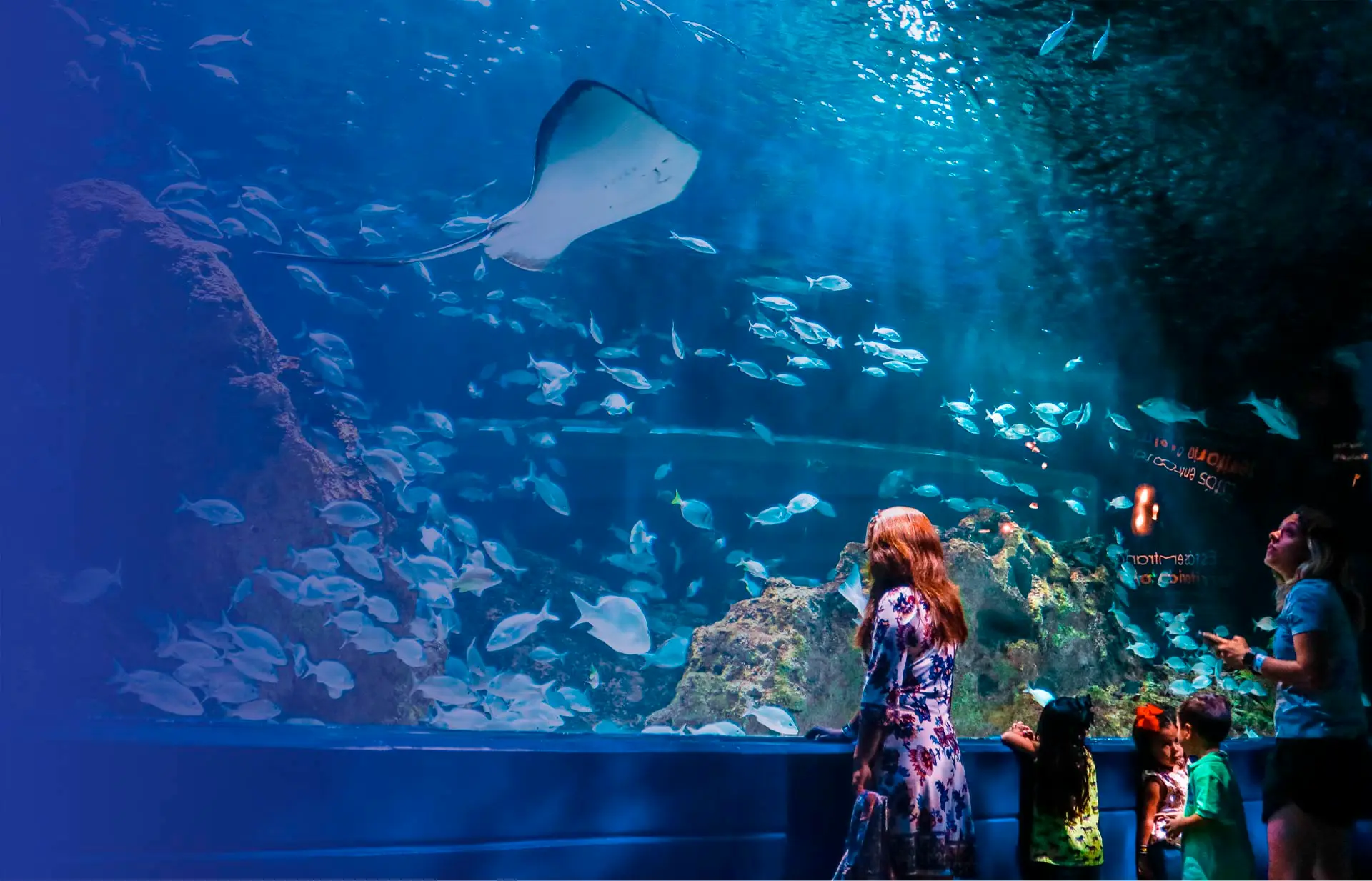 Acuario Michin