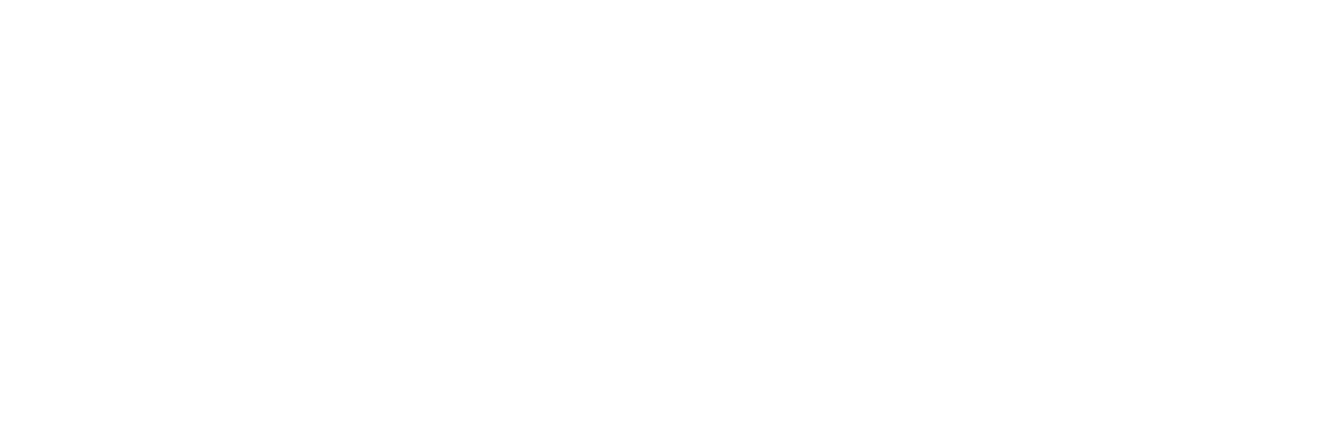 SNEC